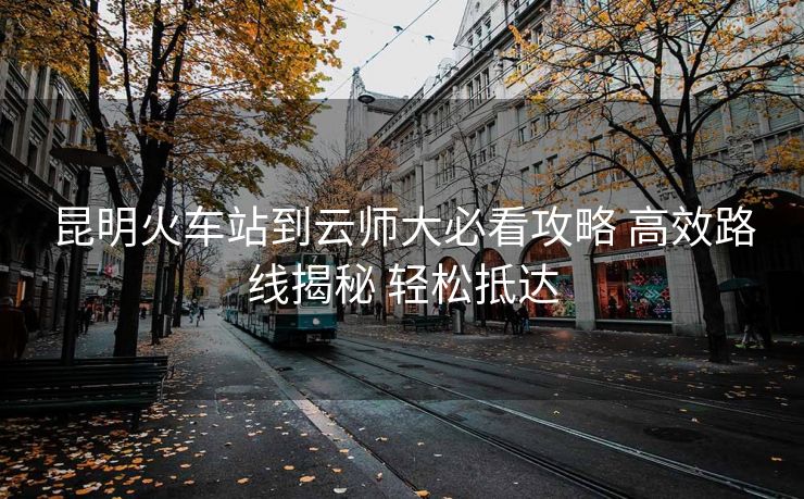 昆明火車站到云師大必看攻略 高效路線揭秘 輕松抵達(dá)